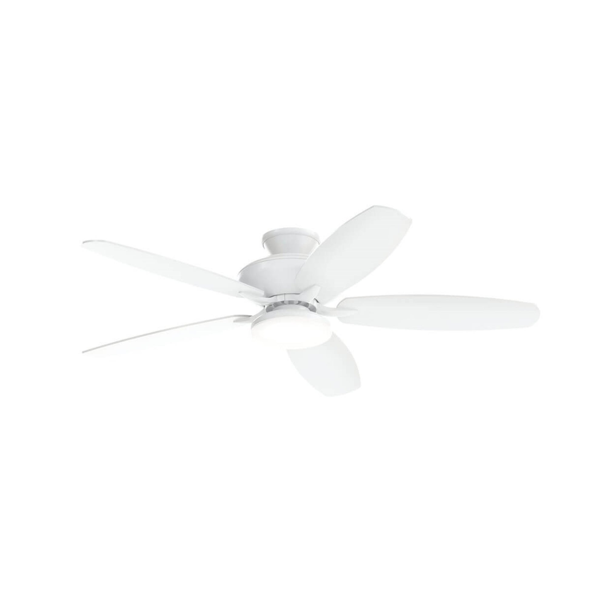 Renew Designer 52" LED Ceiling Fan - Bees Lighting
