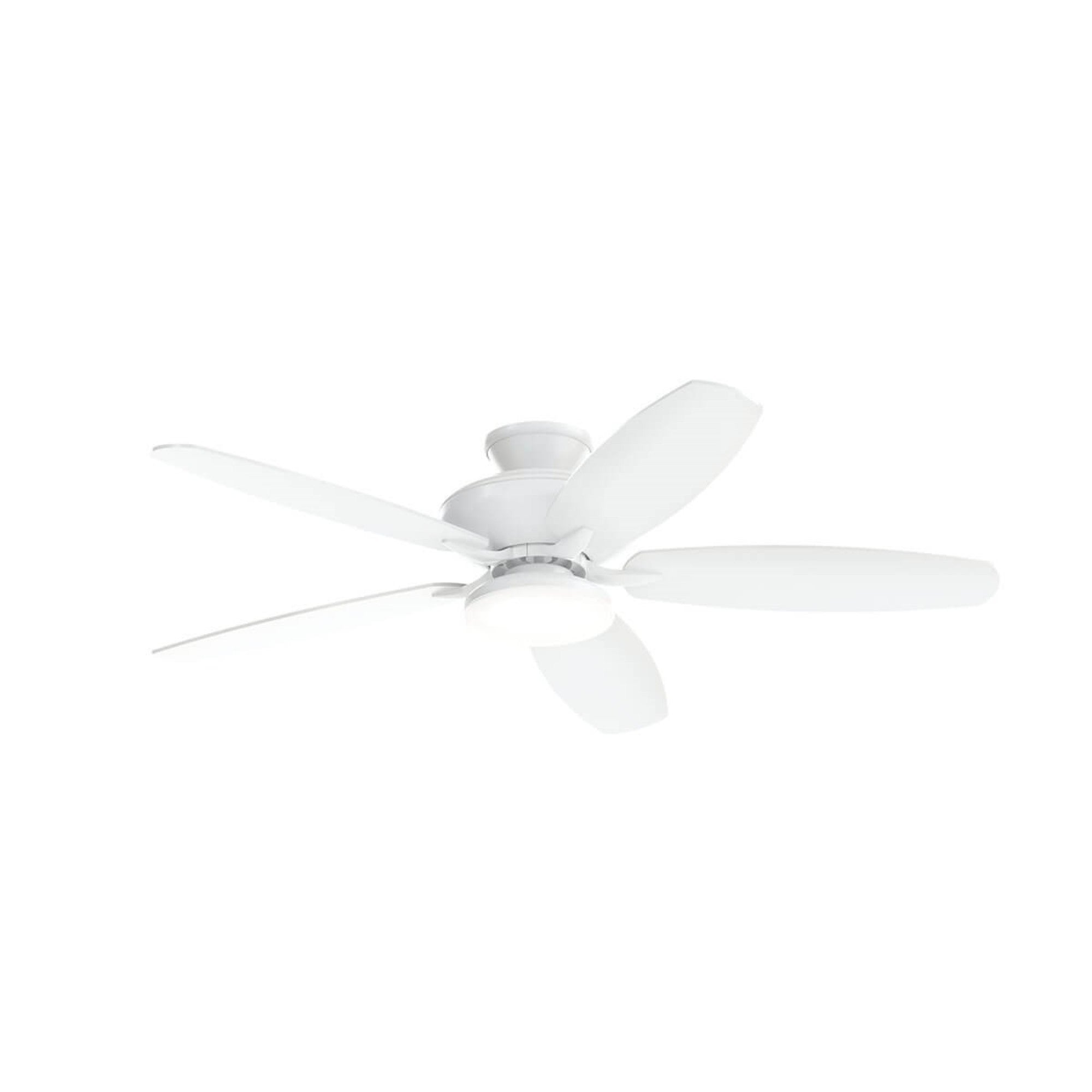 Renew Designer 52" LED Ceiling Fan - Bees Lighting