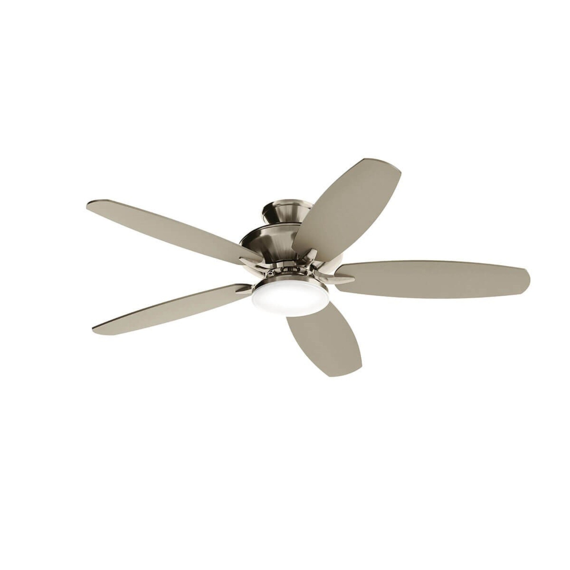 Renew Designer 52" LED Ceiling Fan - Bees Lighting