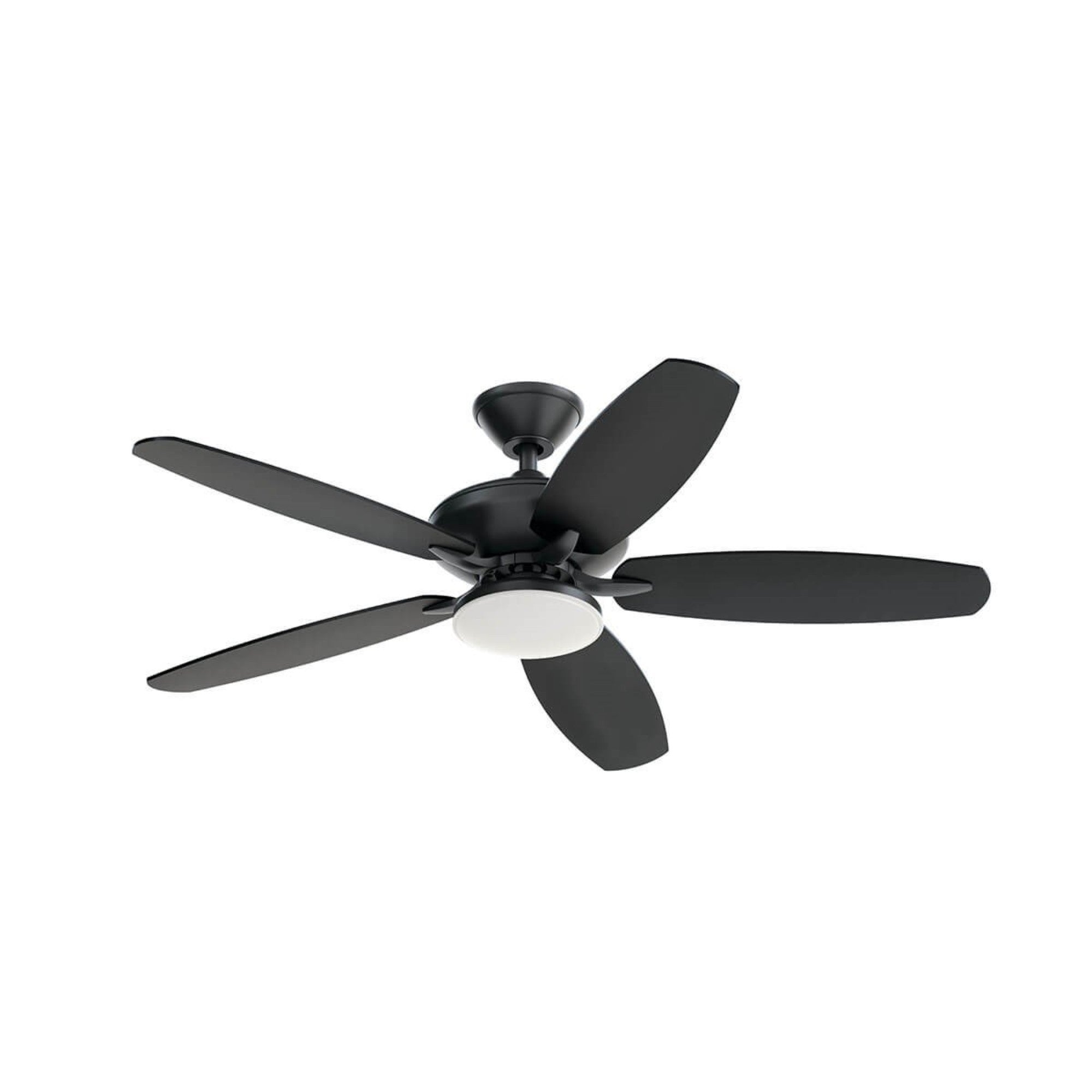 Renew Designer 52" LED Ceiling Fan - Bees Lighting