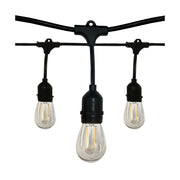 Indoor/Outdoor 24 Feet LED String Light, 12-LED Bulbs, 2700K - Bees Lighting
