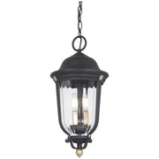 Peale Street Outdoor Hanging Lantern - Bees Lighting