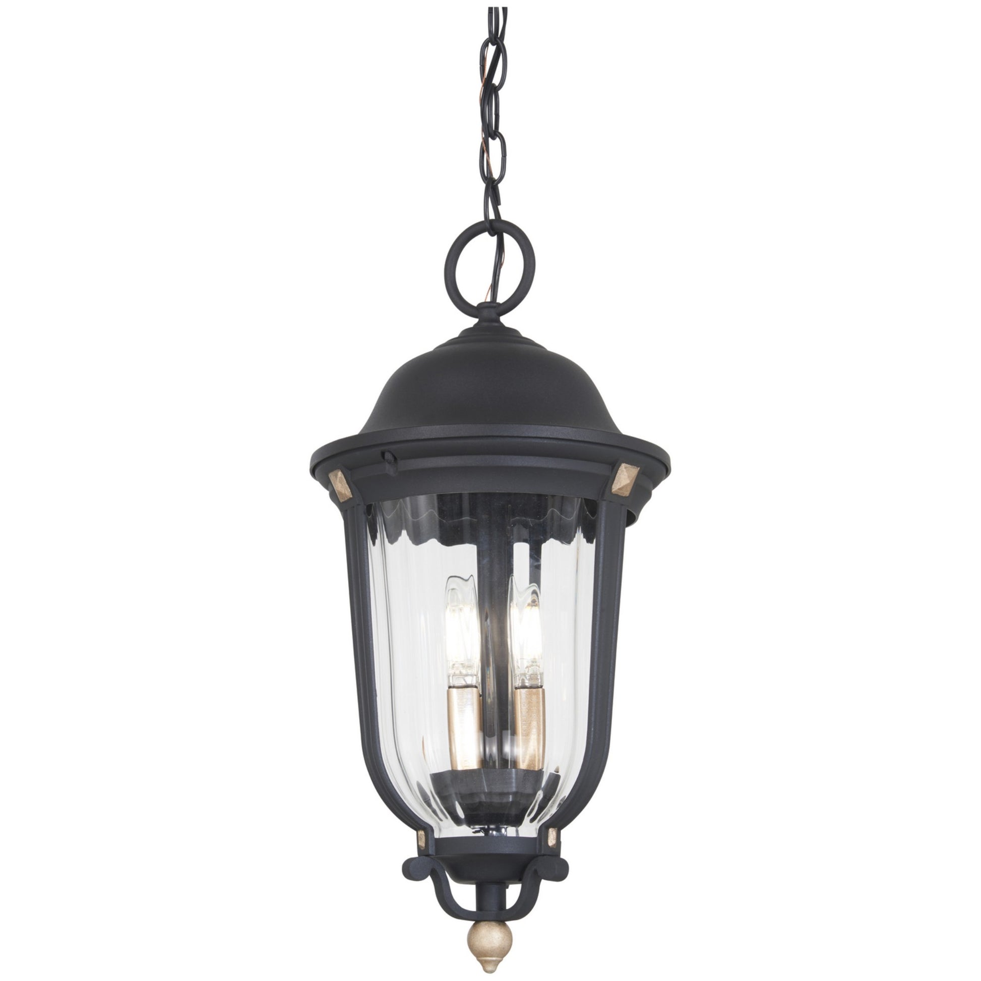 Peale Street Outdoor Hanging Lantern - Bees Lighting
