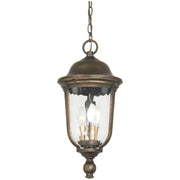 Havenwood Outdoor Hanging Lantern - Bees Lighting
