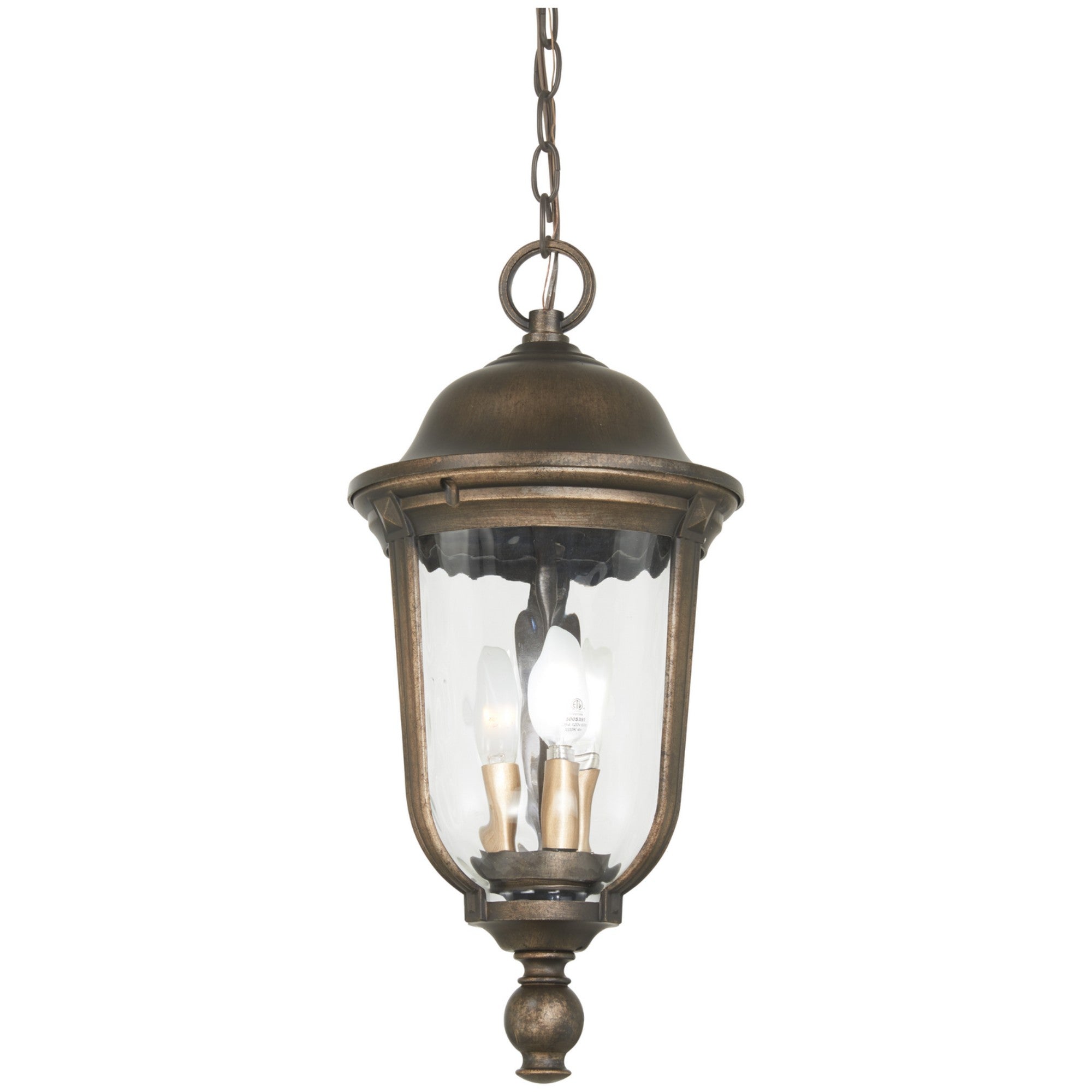 Havenwood Outdoor Hanging Lantern - Bees Lighting