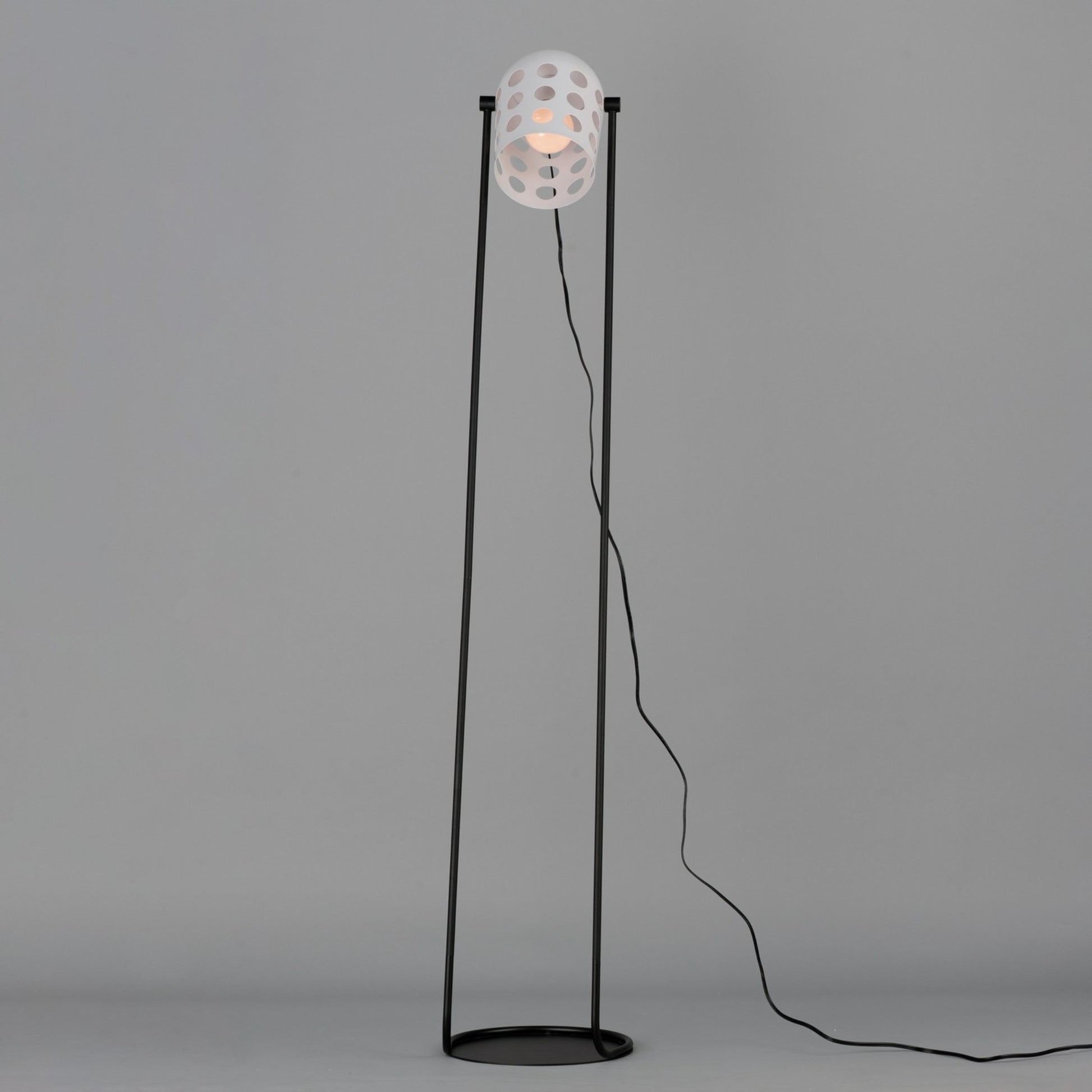 Dottie 68" 1-Light Floor Lamp, Black Finish - Bees Lighting