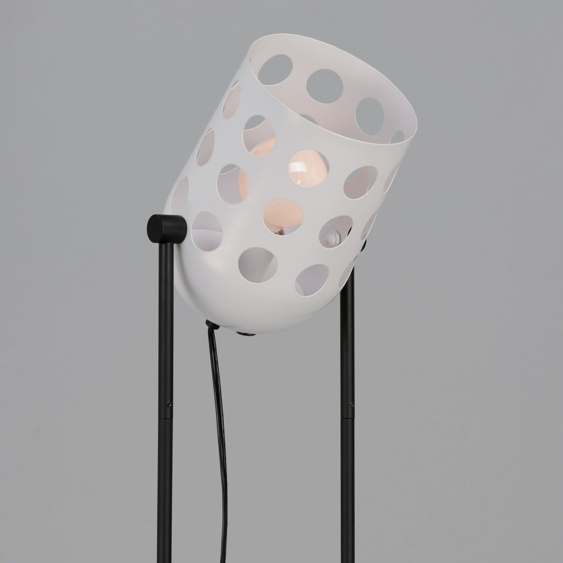 Dottie 68" 1-Light Floor Lamp, Black Finish - Bees Lighting