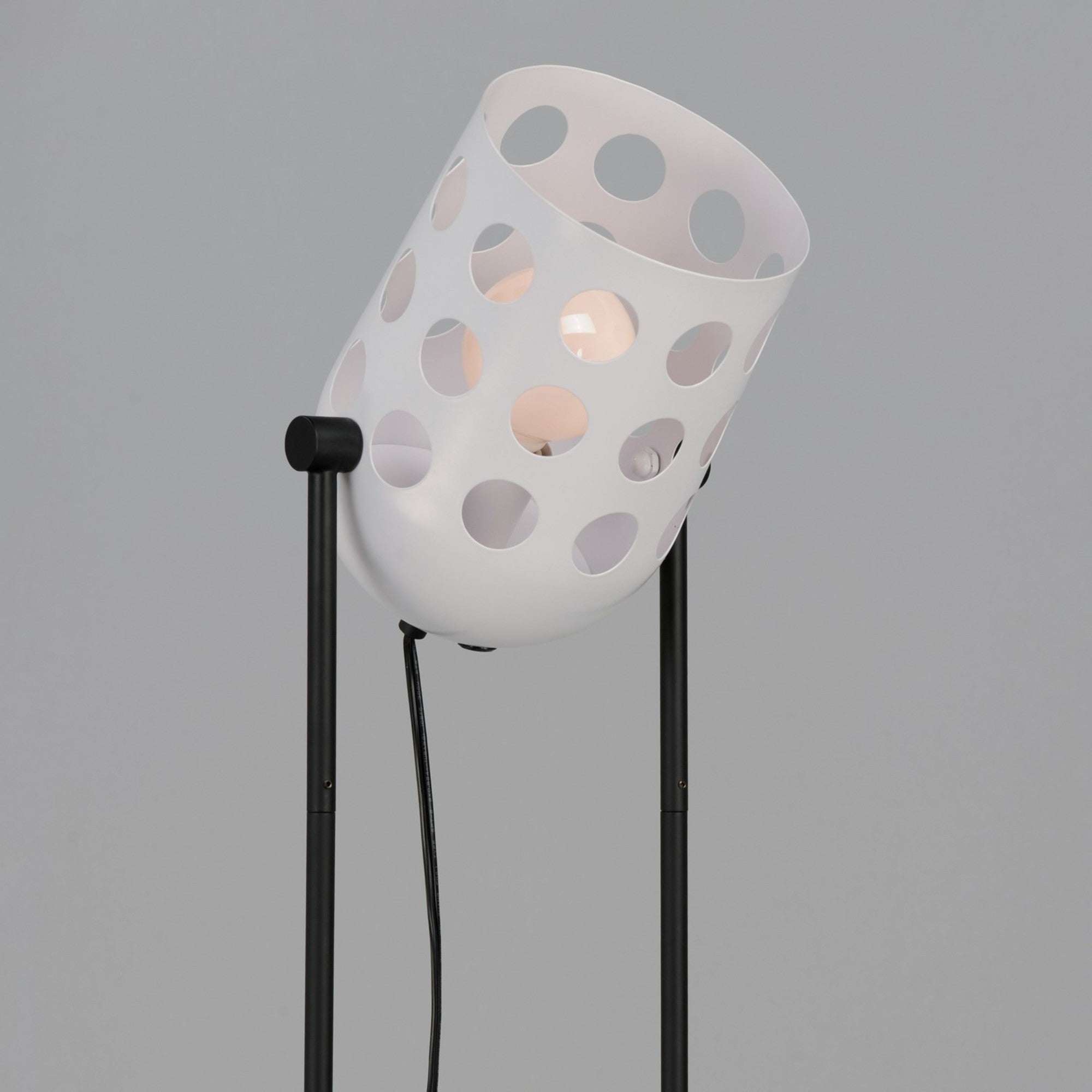 Dottie 68" 1-Light Floor Lamp, Black Finish - Bees Lighting