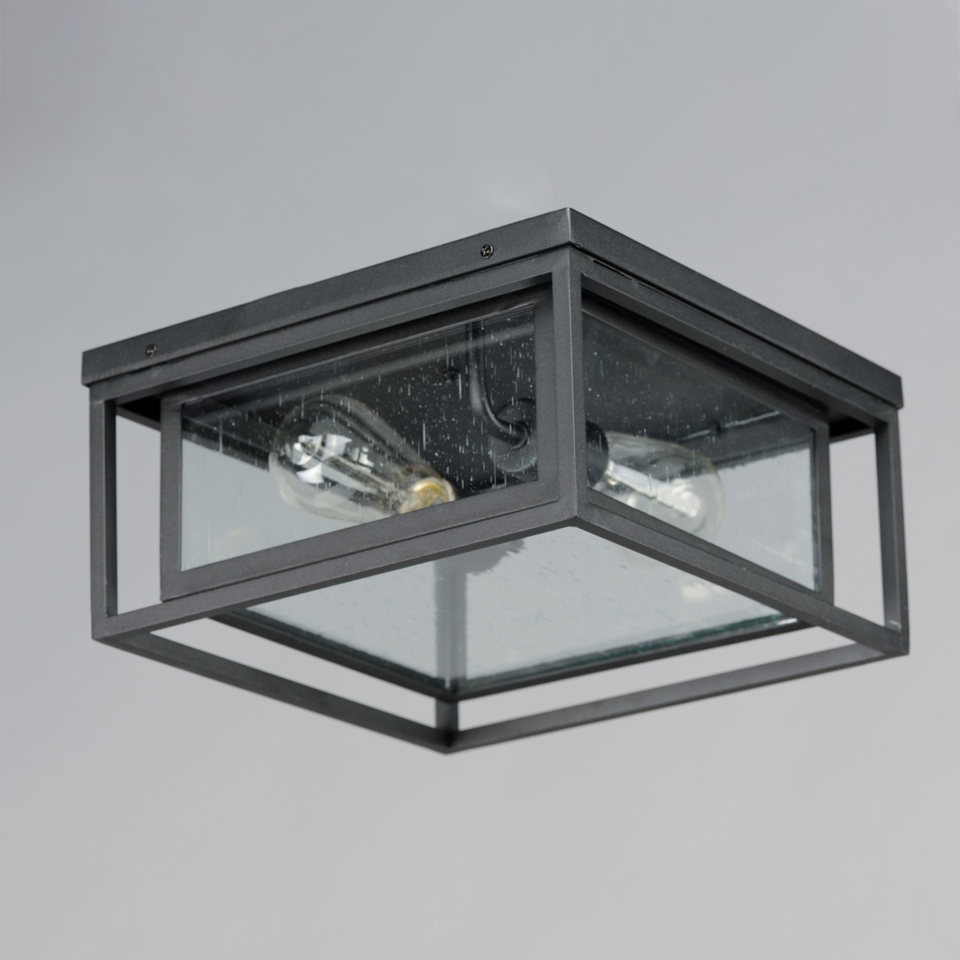 Cabana 12" 2-Light Outdoor Flush Mount, Black Finish - Bees Lighting