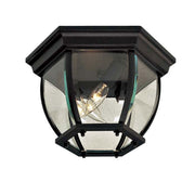 Wyndmere Outdoor Flush Mount - Bees Lighting