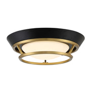 Beam Me Up LED Flush Mount Light - Bees Lighting