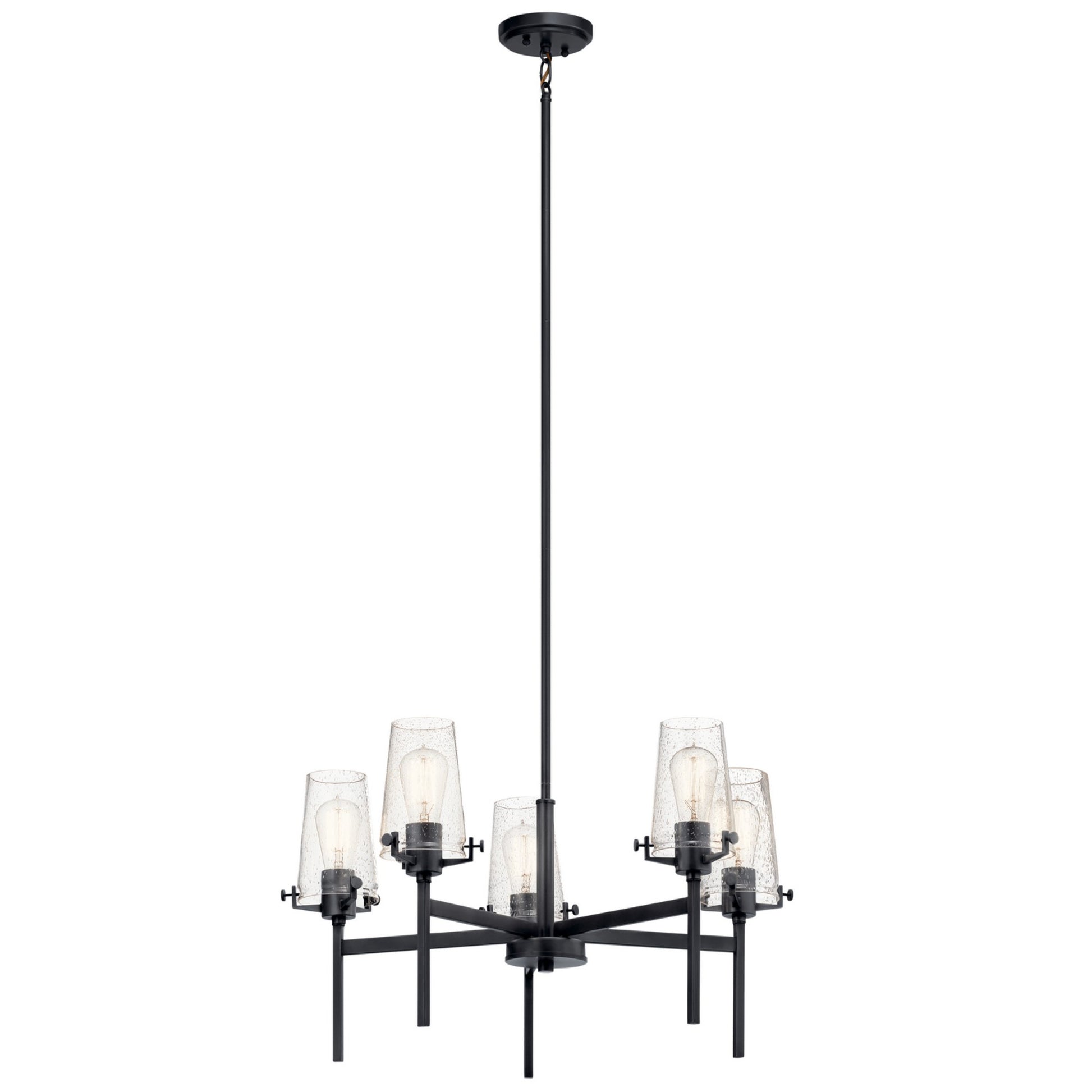 Alton 27" 5-Light Chandelier, Black Finish - Bees Lighting