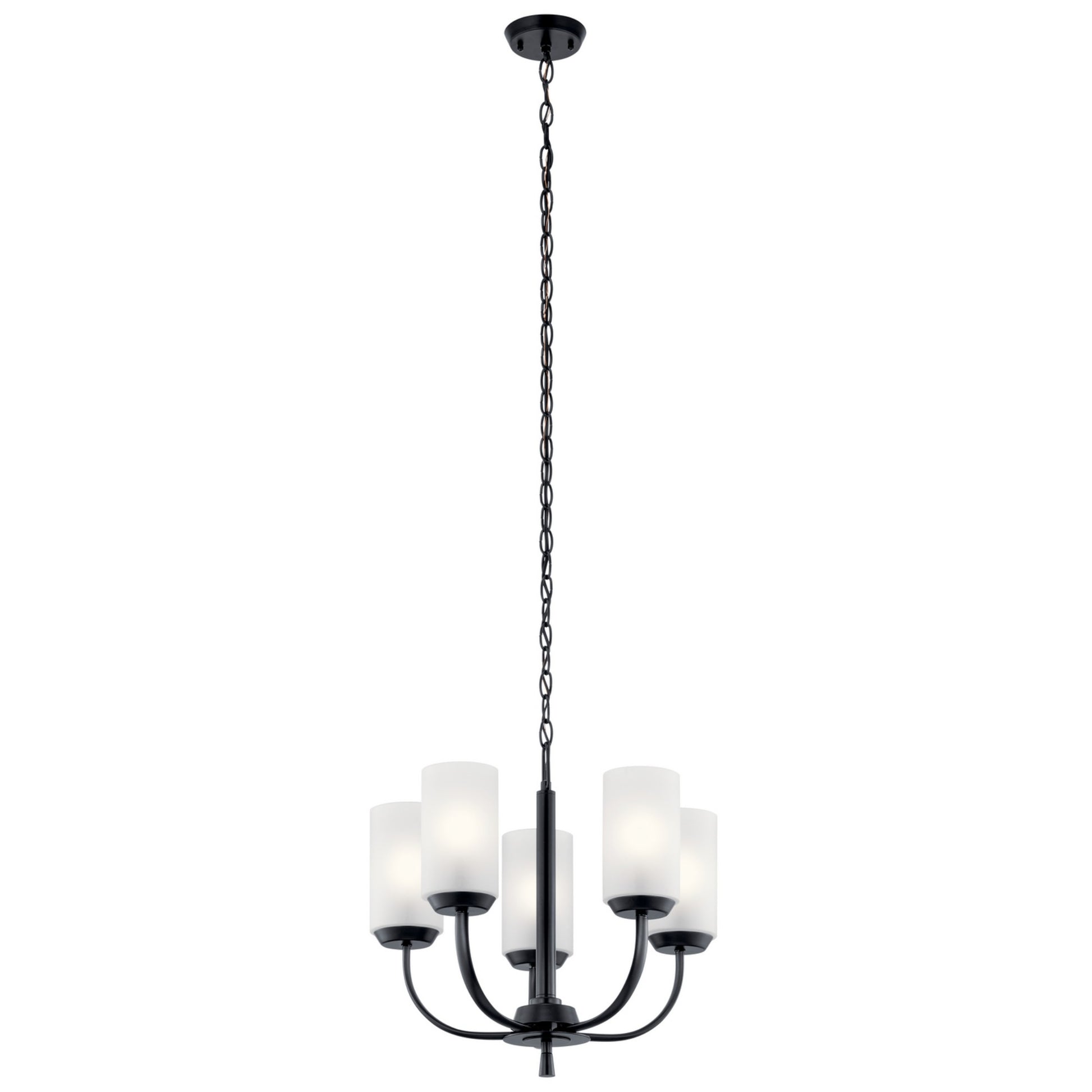 Kennewick 19" 5-Light Chandelier, Black Finish - Bees Lighting