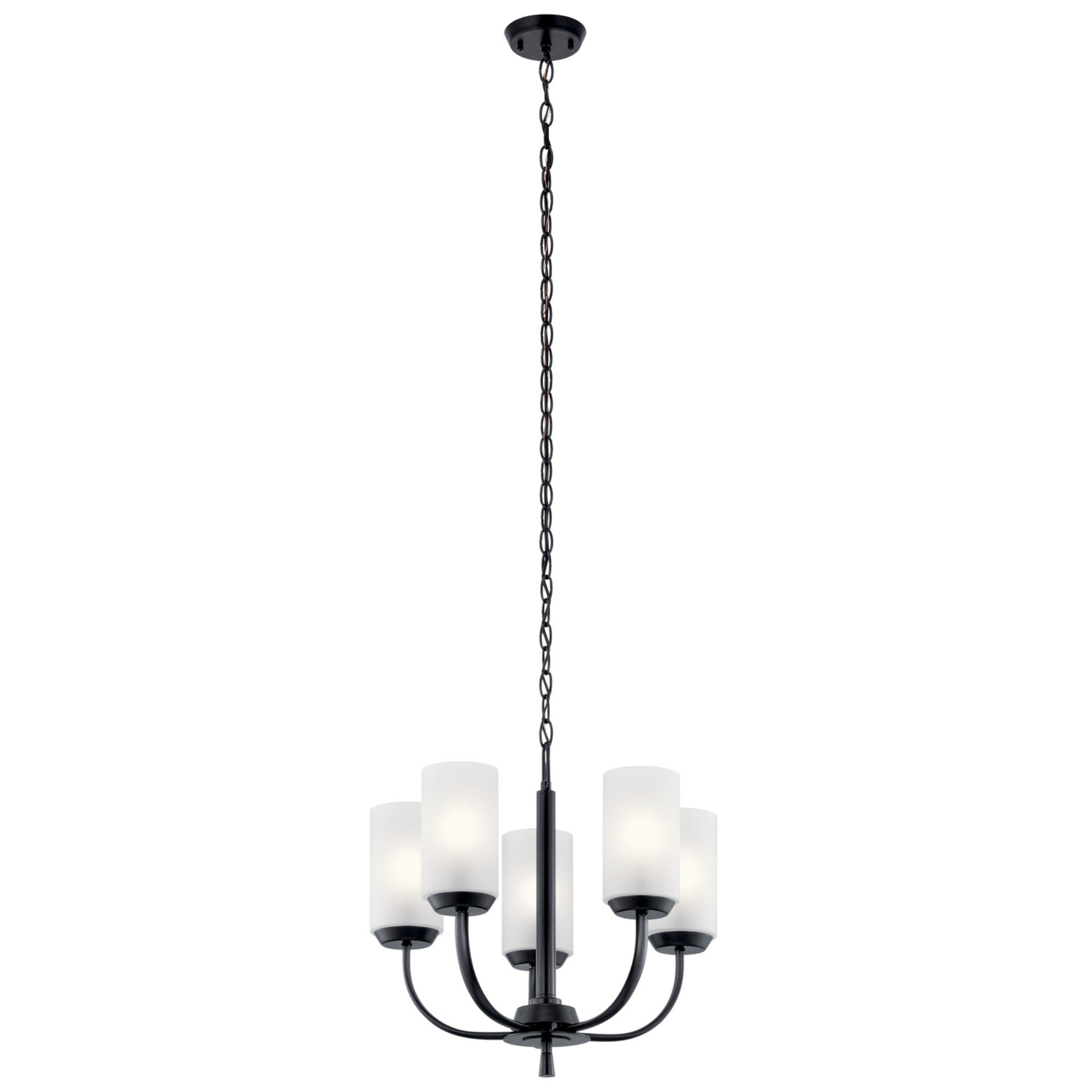 Kennewick 19" 5-Light Chandelier, Black Finish - Bees Lighting