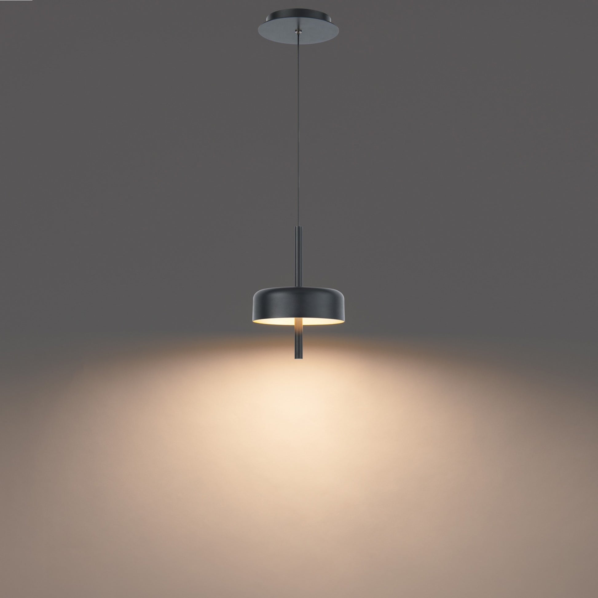 Pierce 10" LED Mini Pendant, Black/Gold Finish - Bees Lighting
