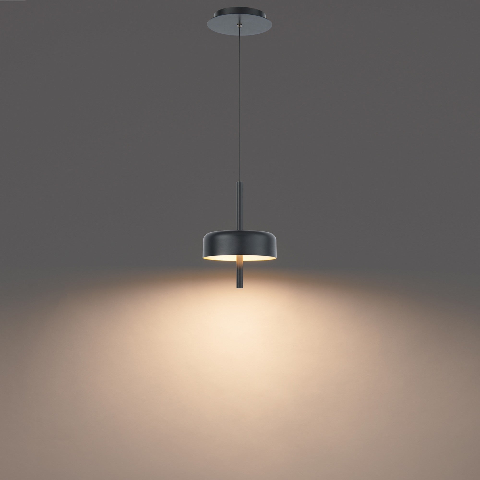 Pierce 10" LED Mini Pendant, Black/Gold Finish - Bees Lighting