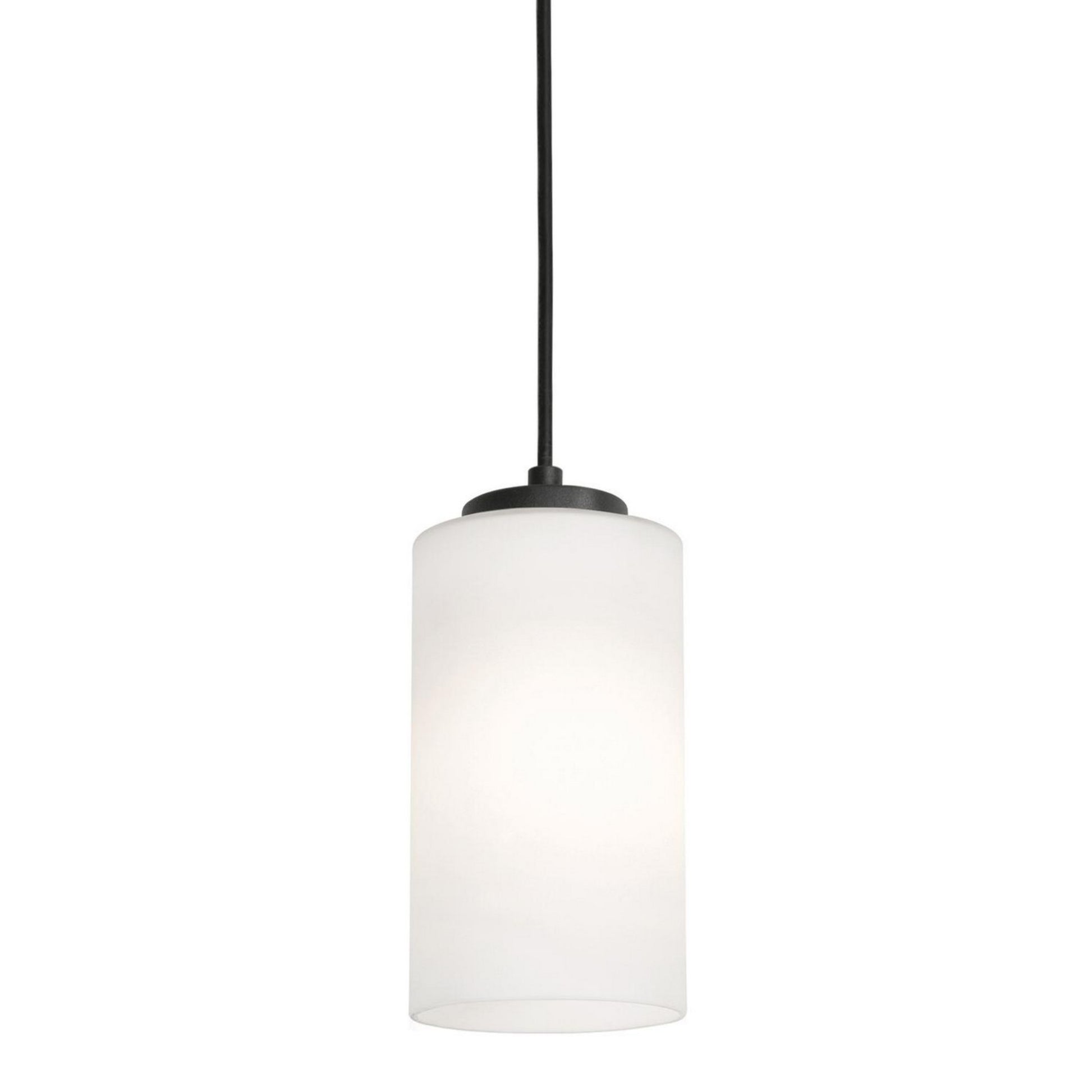 Leo 4" Mini Pendant, Black Finish - Bees Lighting