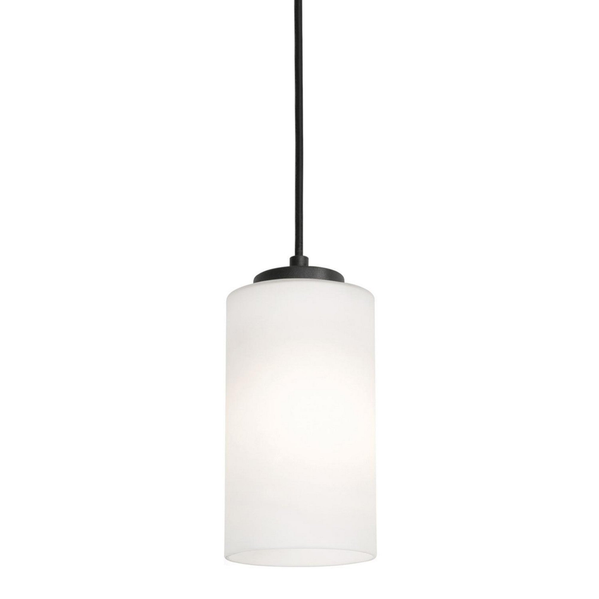 Leo 4" Mini Pendant, Black Finish - Bees Lighting