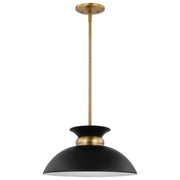 Perkins 1 Light Pendant Light - Bees Lighting