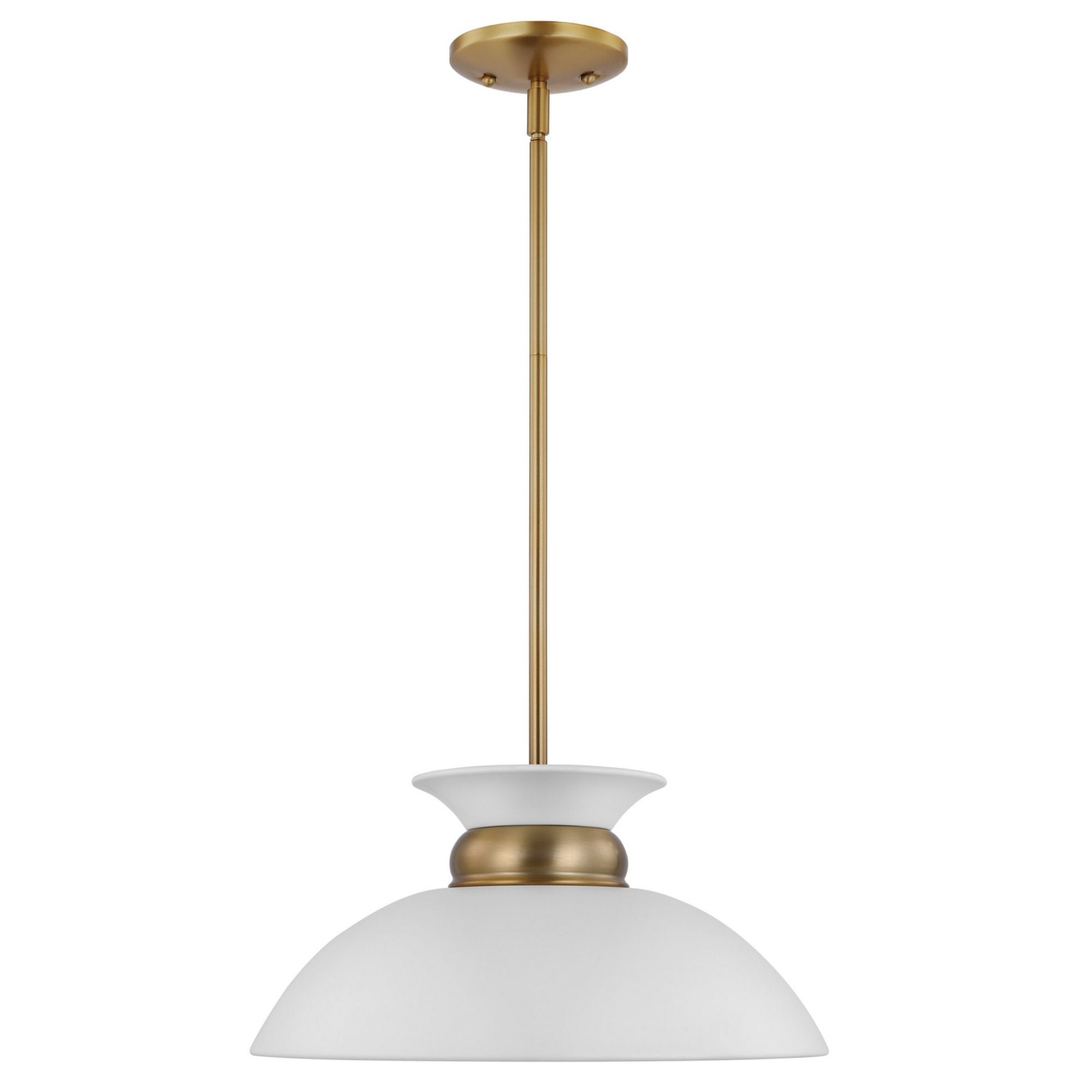 Perkins 1 Light Pendant Light - Bees Lighting