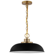 Colony 15" Pendant, Matte Black / Burnished Brass Finish - Bees Lighting