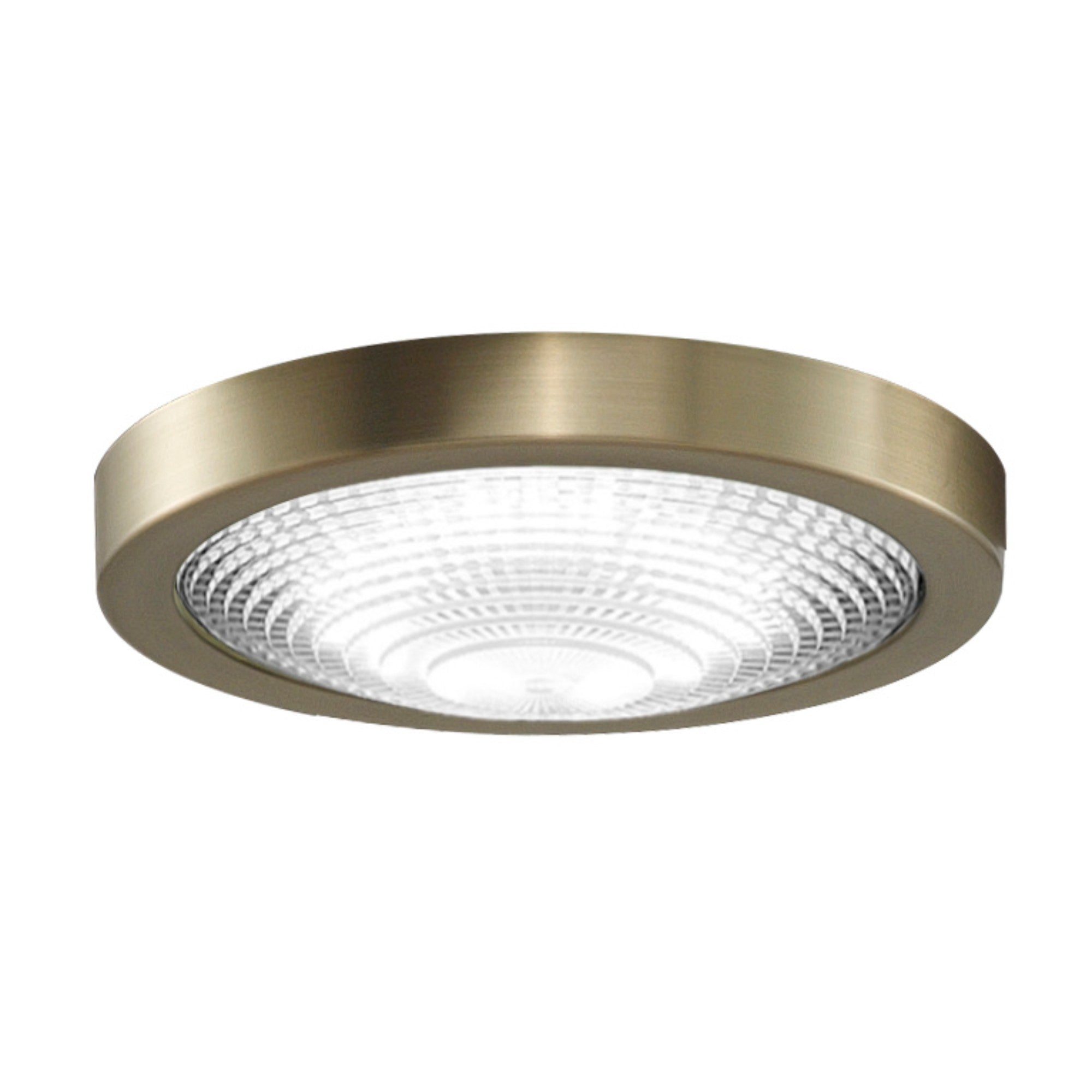Fanimation Spitfire DC Ceiling Fan CCT LED Light Kit - Bees Lighting