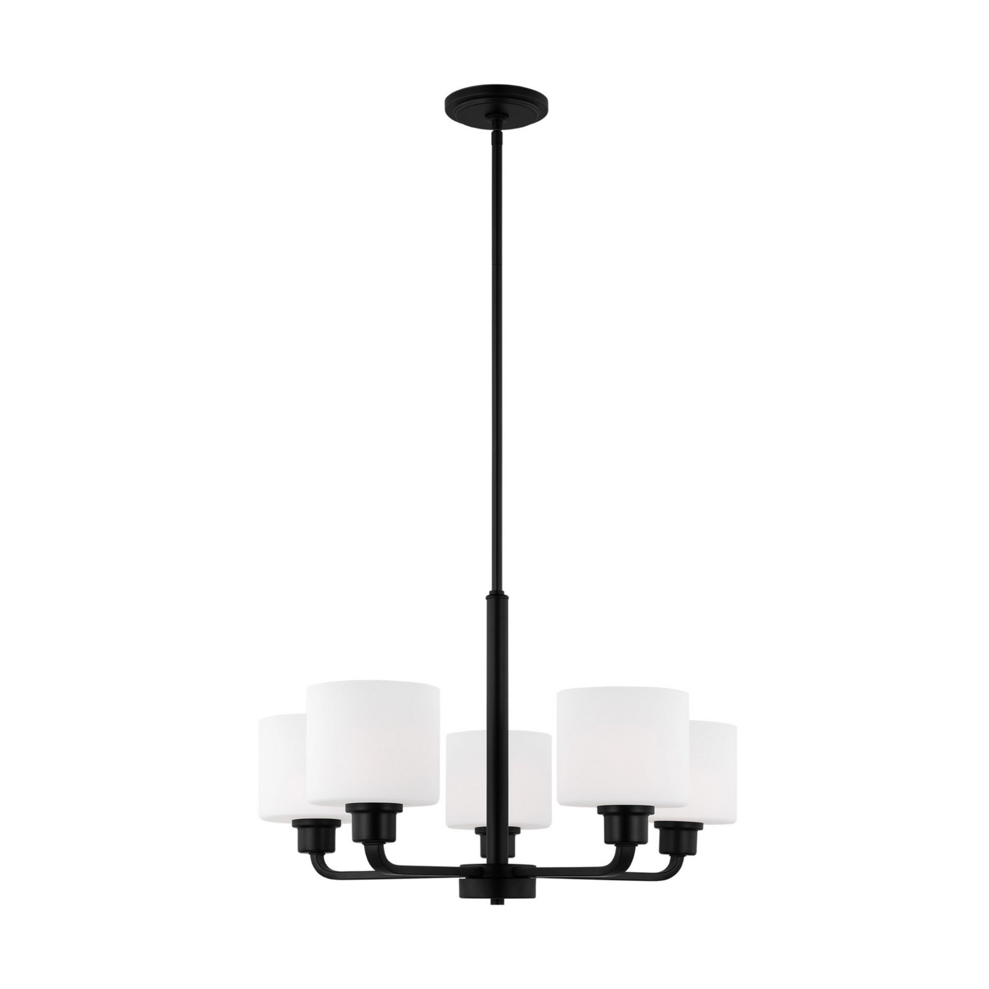 Canfield 24" 5-Light Chandelier, Midnight Black Finish - Bees Lighting