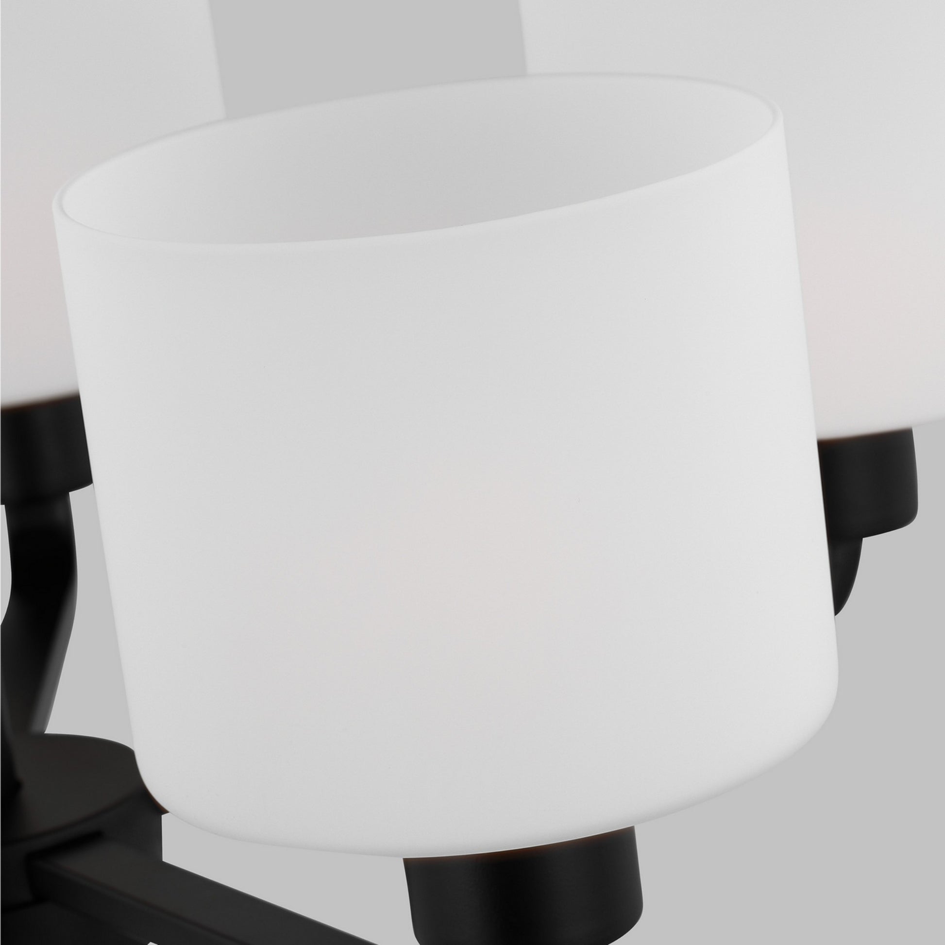 Canfield 24" 5-Light Chandelier, Midnight Black Finish - Bees Lighting