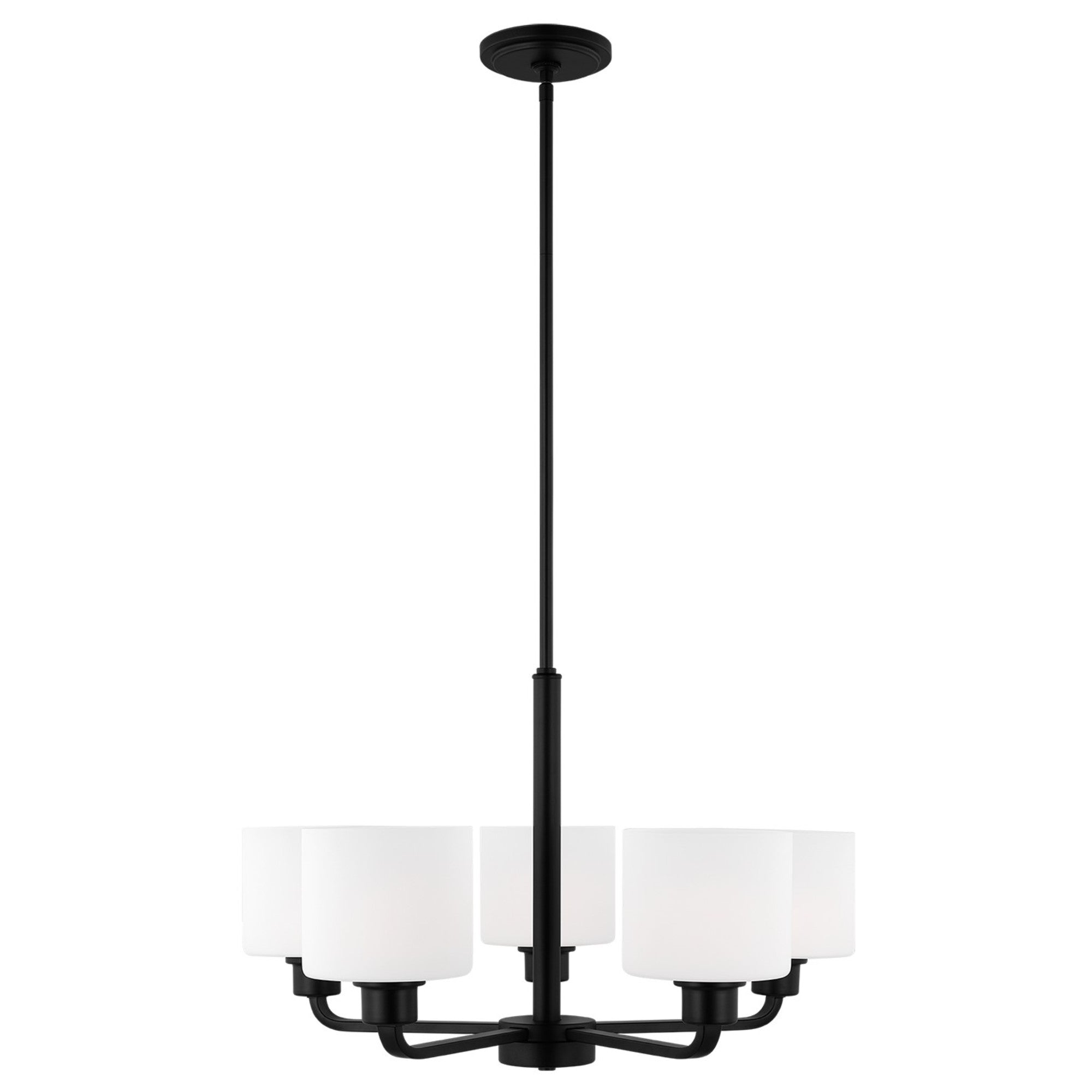 Canfield 24" 5-Light Chandelier, Midnight Black Finish - Bees Lighting