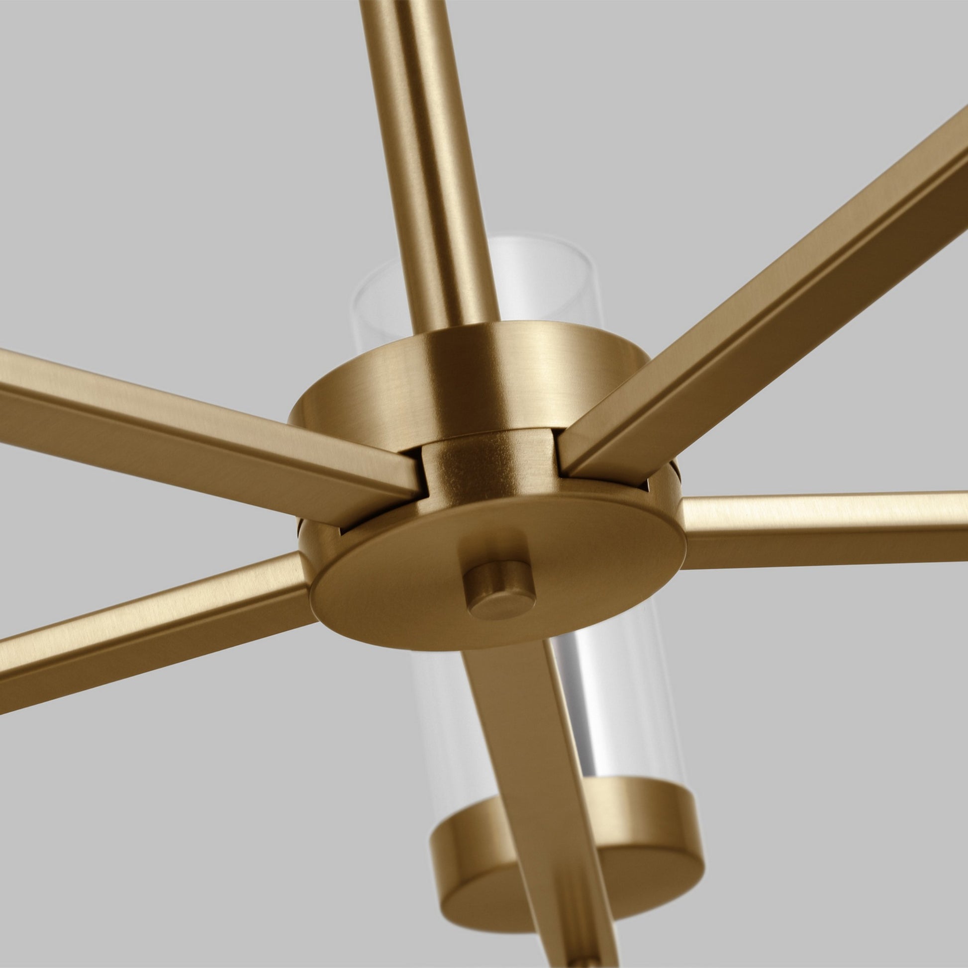 Zire 26" 5-Light Chandelier, Satin Brass Finish - Bees Lighting