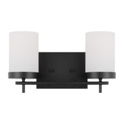 Zire 14" 2-Light LED Bathroom Vanity, Midnight Black Finish - Bees Lighting