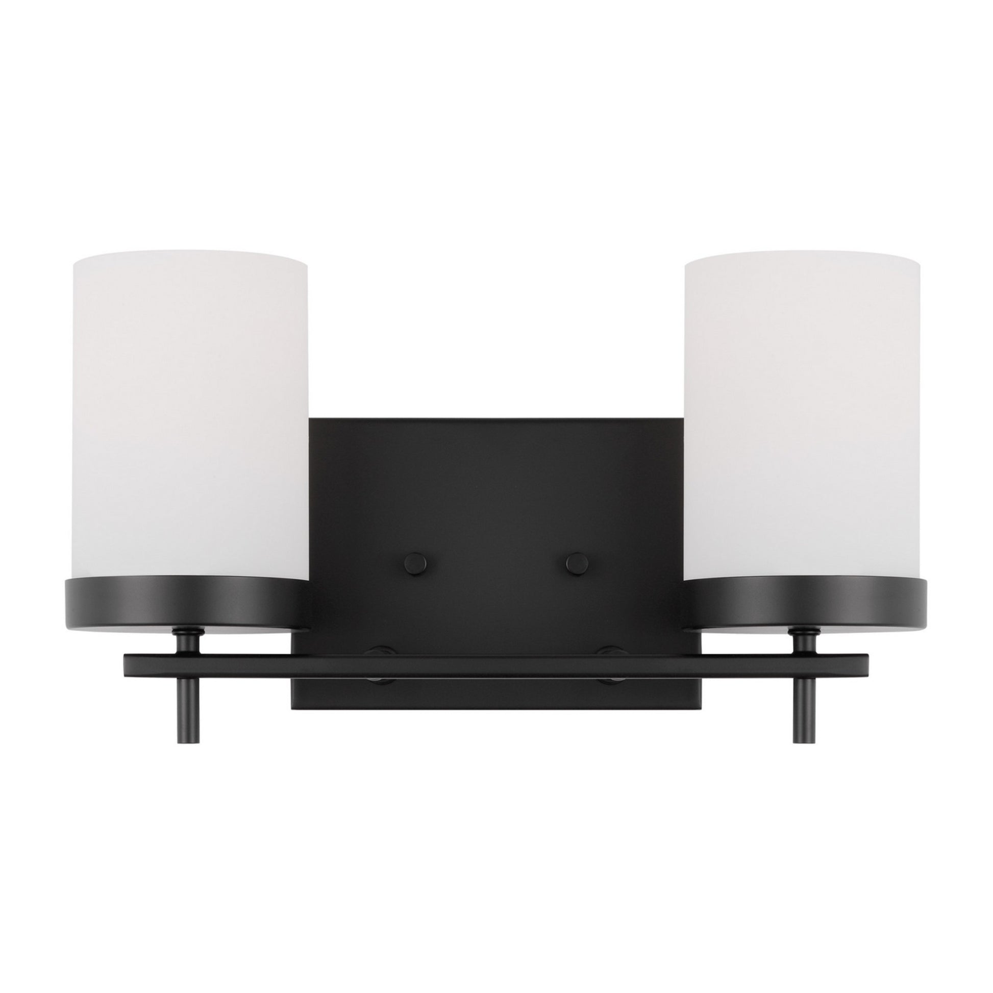 Zire 14" 2-Light LED Bathroom Vanity, Midnight Black Finish - Bees Lighting