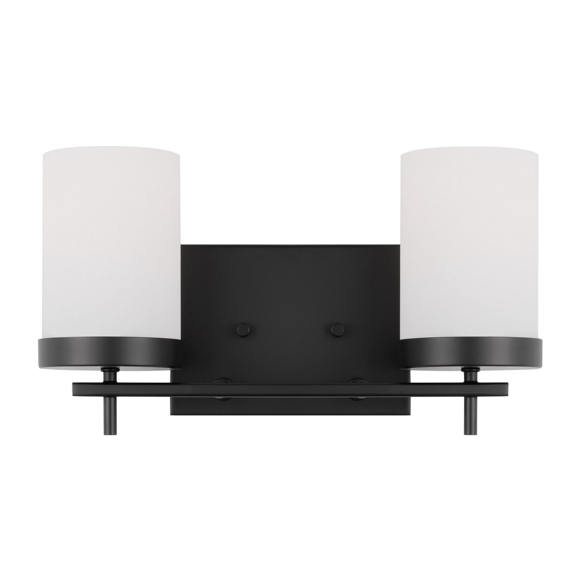 Zire 14" 2-Light LED Bathroom Vanity, Midnight Black Finish - Bees Lighting