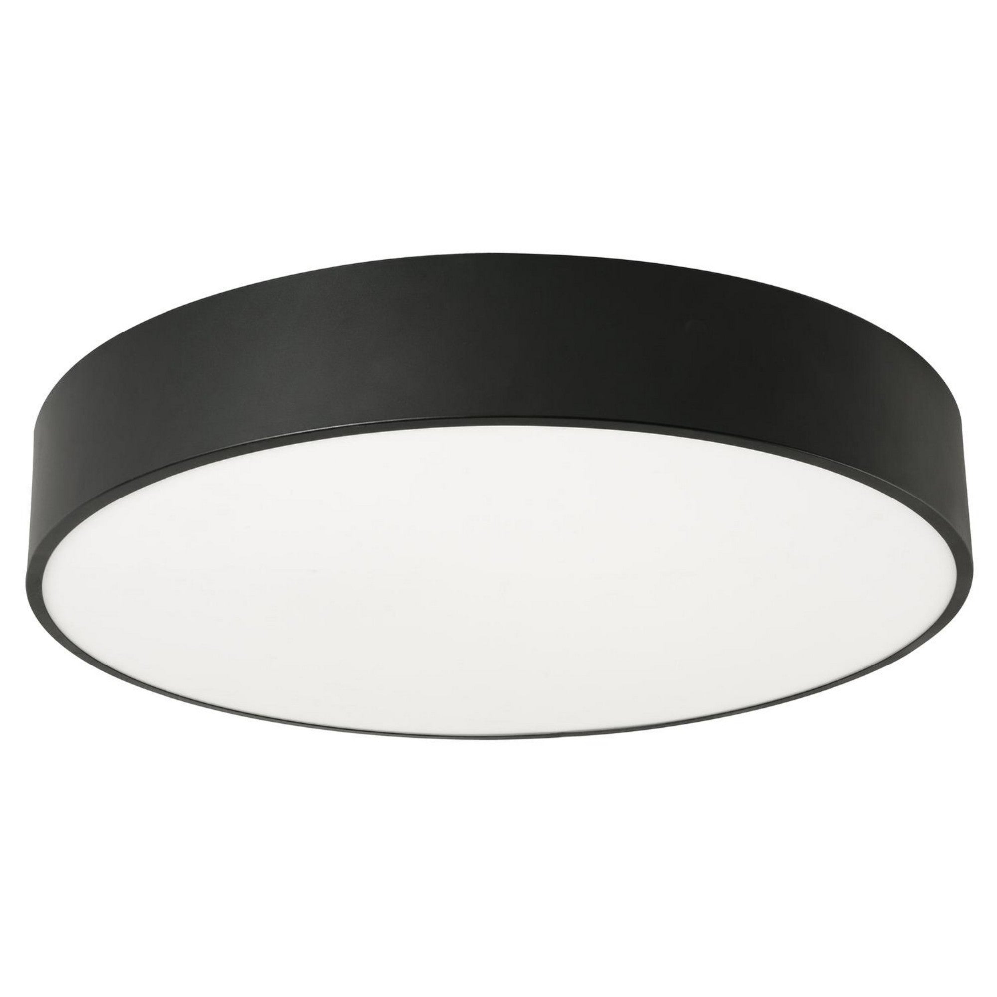 Bailey 24" LED Flush Mount, Black Finish - Bees Lighting