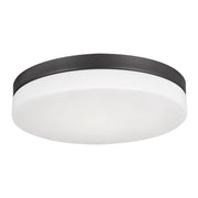 Oscar 11" LED Flush Mount, Black Finish - Bees Lighting