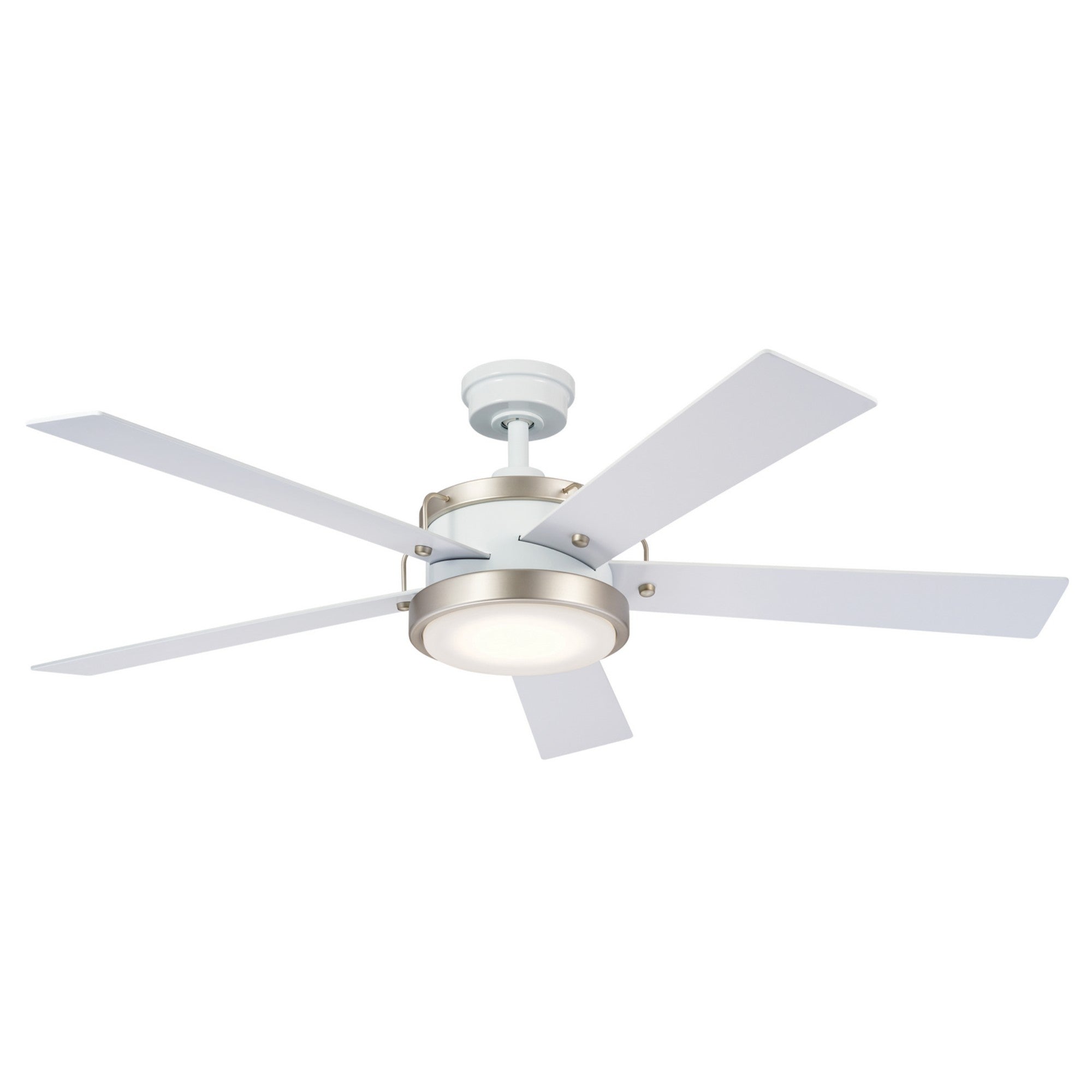 Salvo 56" LED Ceiling Fan - Bees Lighting