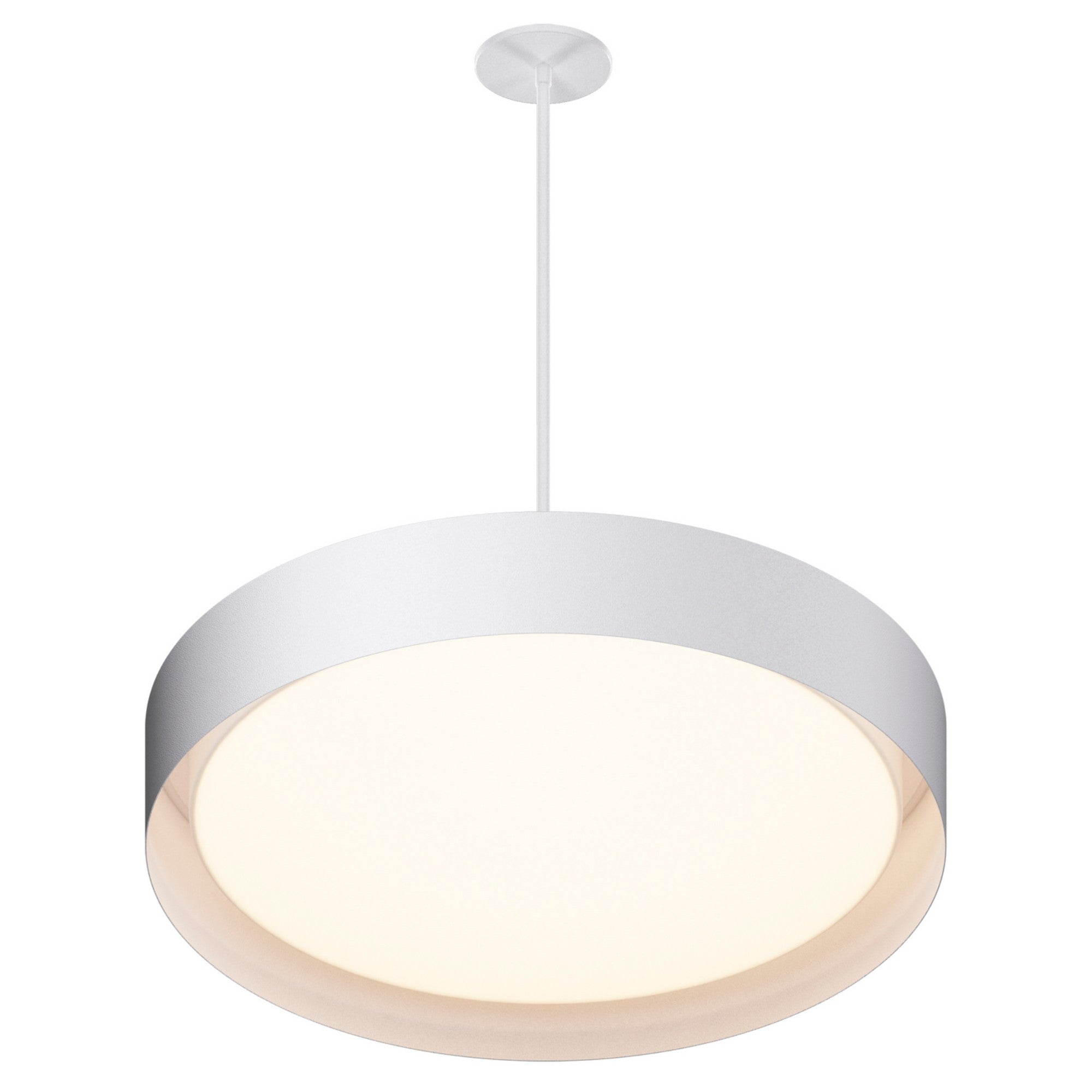 Echo LED Pendant - Bees Lighting