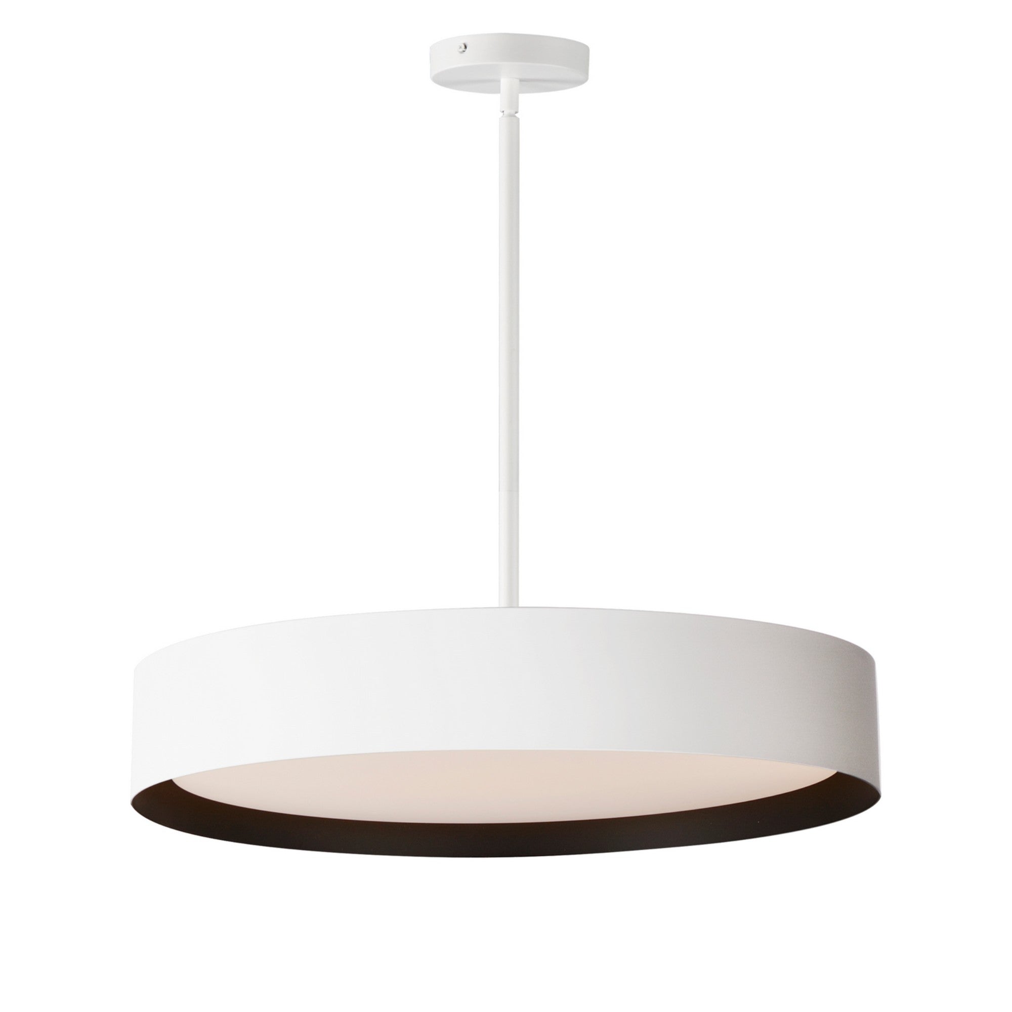 Echo LED Pendant - Bees Lighting
