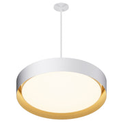Echo LED Pendant - Bees Lighting
