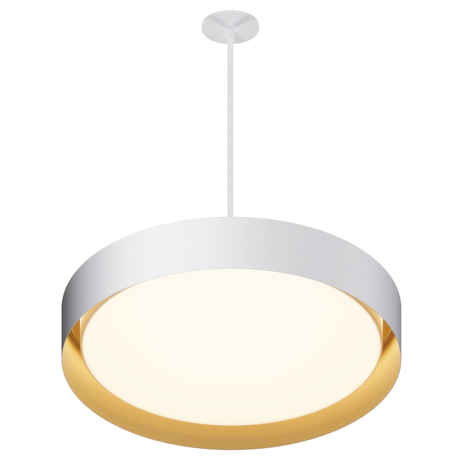 Echo LED Pendant - Bees Lighting