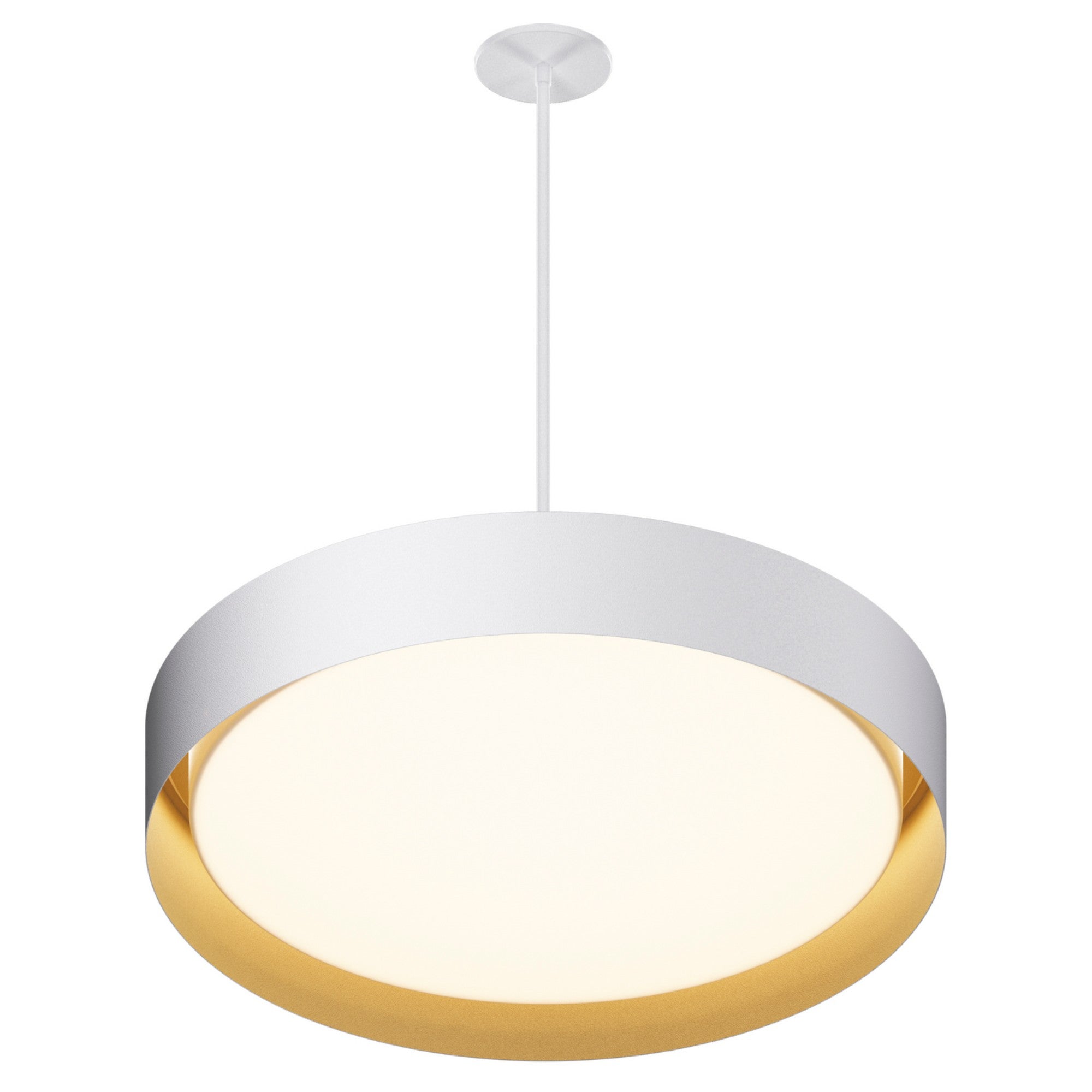 Echo LED Pendant - Bees Lighting
