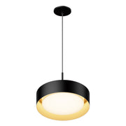 Echo LED Pendant - Bees Lighting