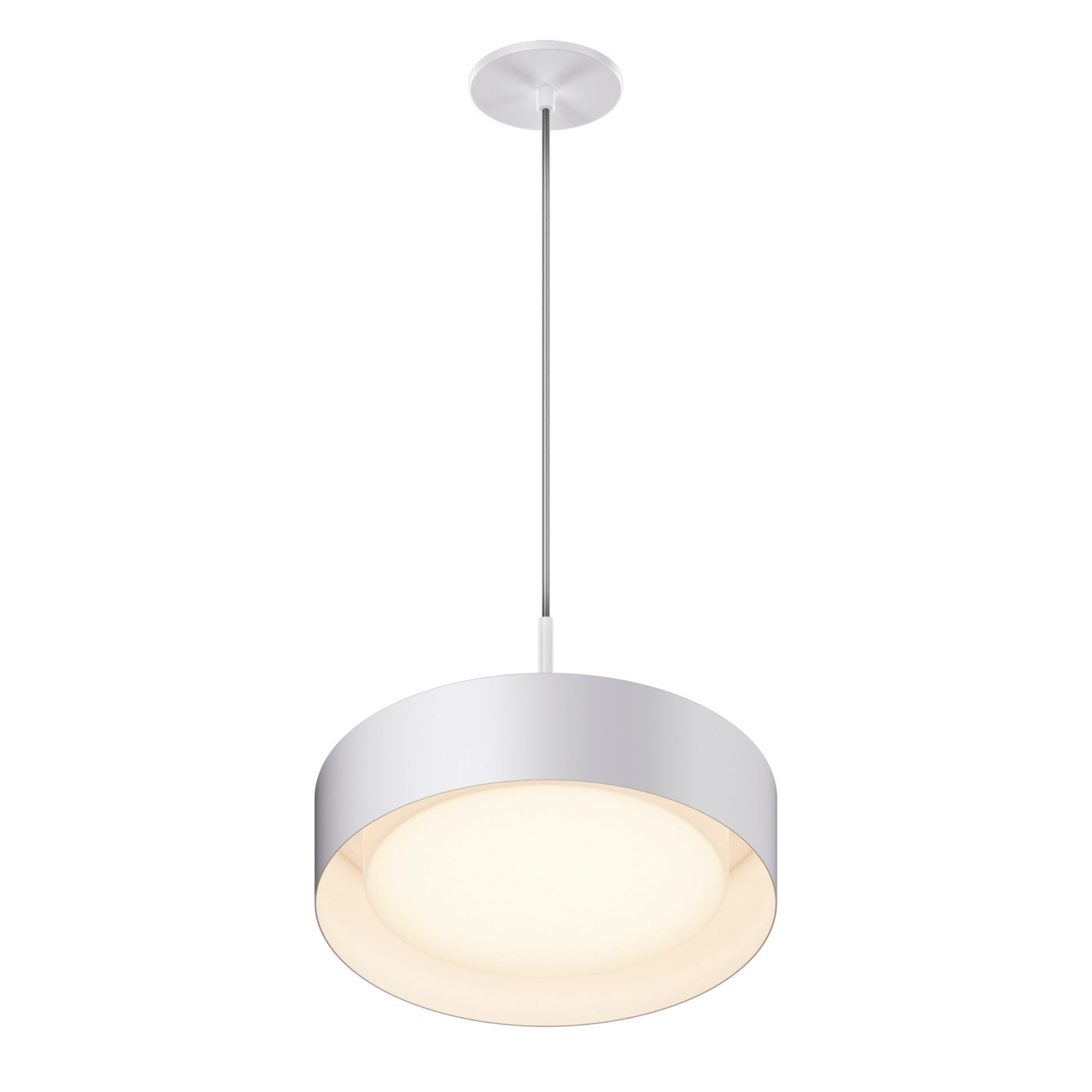 Echo LED Pendant - Bees Lighting