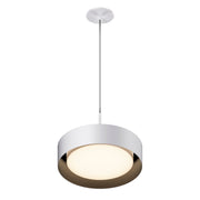 Echo LED Pendant - Bees Lighting
