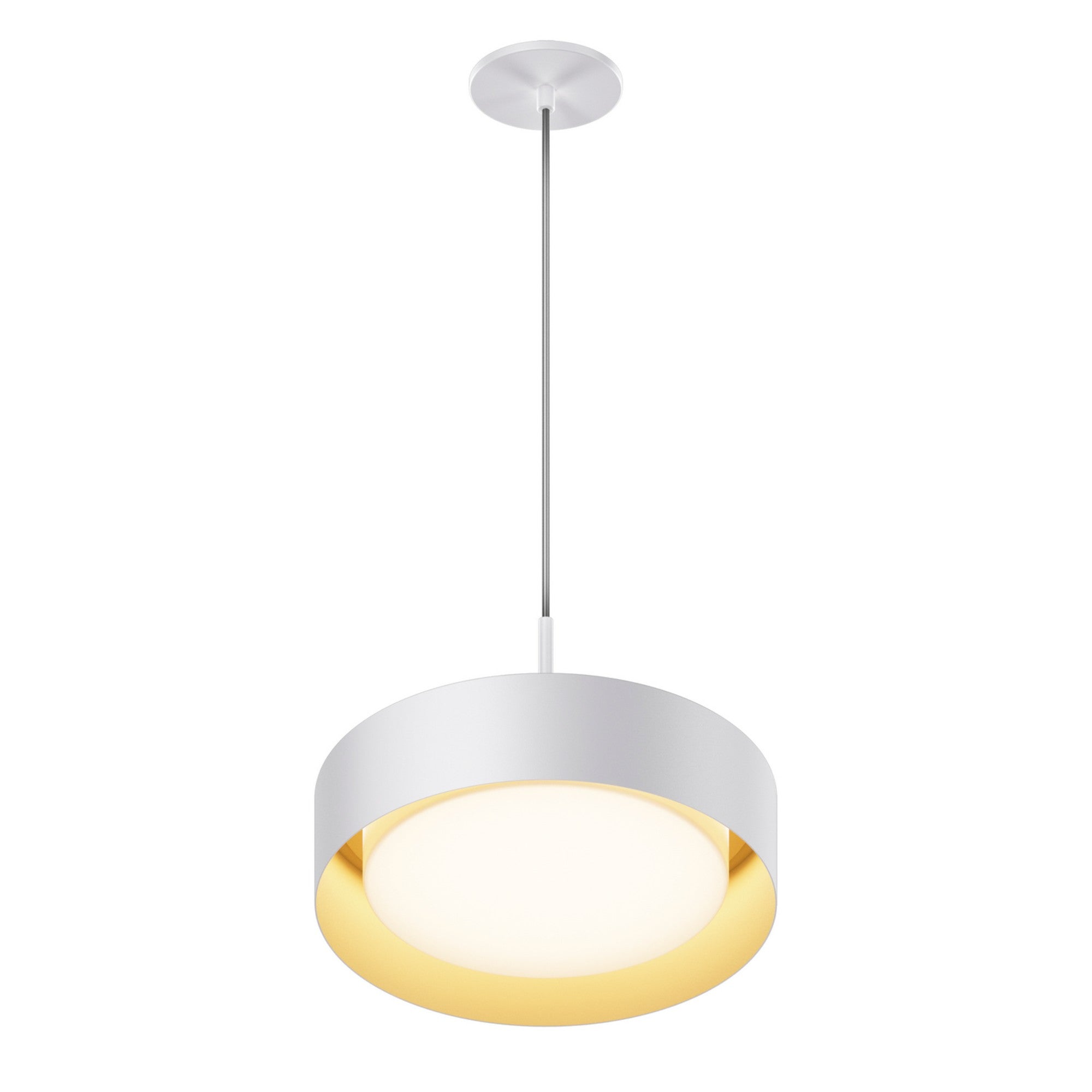 Echo LED Pendant - Bees Lighting