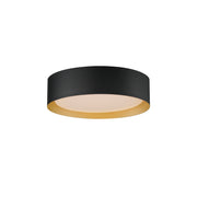 Echo 16" LED Flush Mount, Black & Gold Finish - Bees Lighting