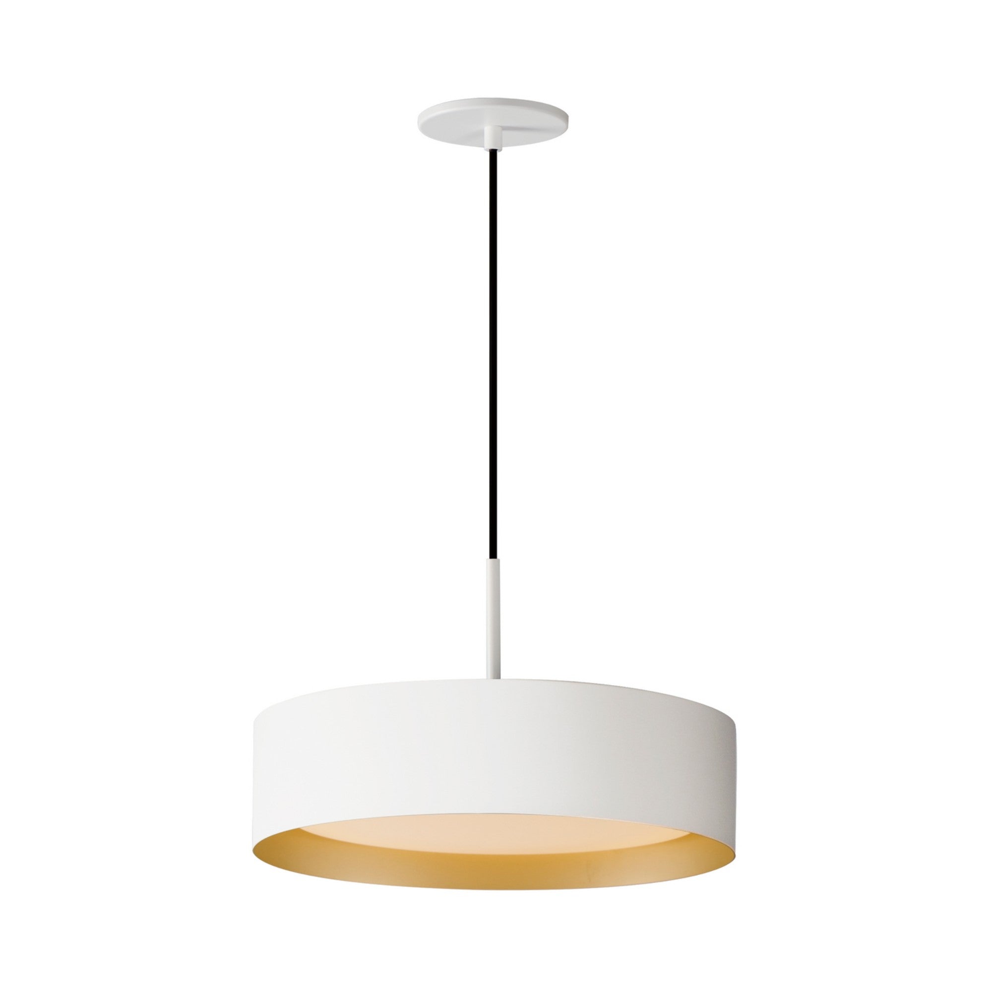 Echo LED Pendant - Bees Lighting