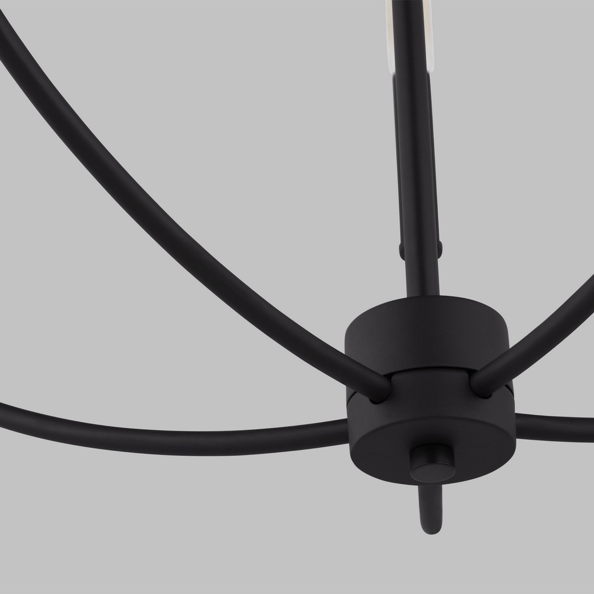 Greenwich 24" 5-Light Chandelier, Midnight Black Finish - Bees Lighting