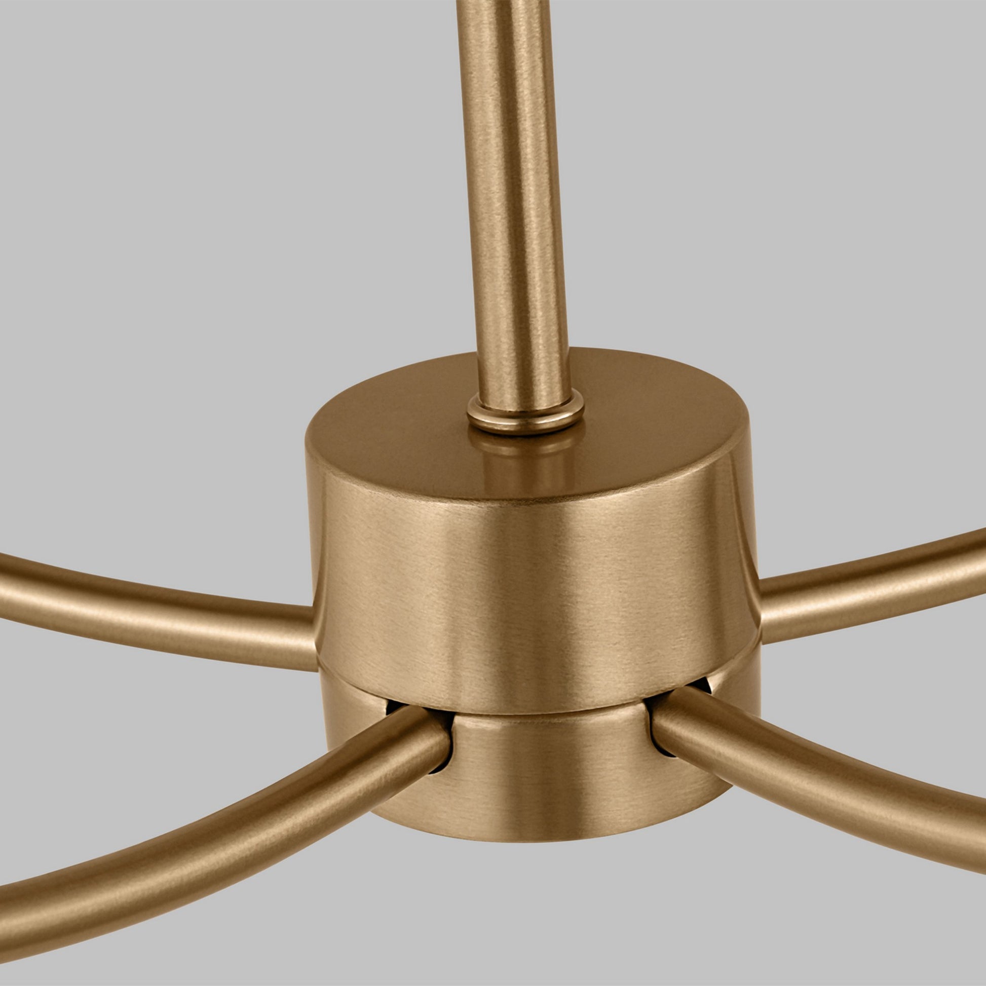 Greenwich 24" 5-Light Chandelier, Satin Brass Finish - Bees Lighting