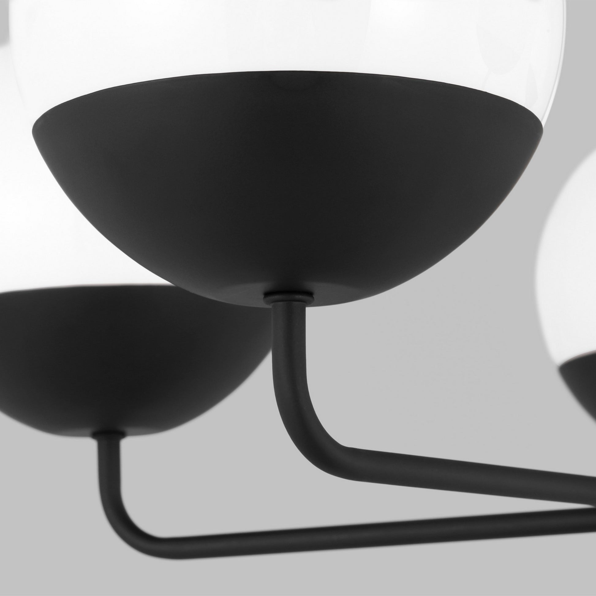 Alvin 26" 5-Light Chandelier, Midnight Black Finish - Bees Lighting